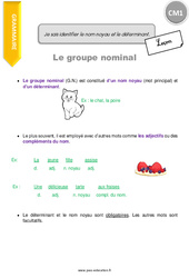 Comment identifier le nom noyau et le déterminant - Cours, Leçon : Primaire 4 - PDF à imprimer