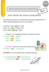 Savoir reconnaitre et trouver le contraire d’un mot - Cours, Leçon : Primaire 4 - PDF à imprimer
