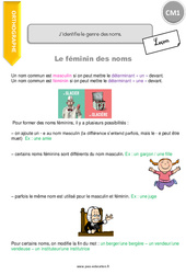 J’identifie le genre des noms - Cours, Leçon : Primaire 4 - PDF à imprimer