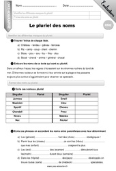 Le pluriel des noms - Examen Evaluation - Bilan : Primaire 5 - PDF à imprimer
