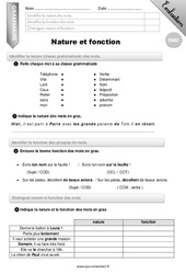 Nature et fonction - Examen Evaluation - Bilan : Primaire 5 - PDF à imprimer