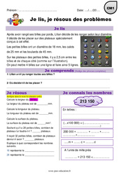 Addition, partage, diamètre et mesures - Problèmes mathématiques en autonomie : Primaire 4 - PDF à imprimer