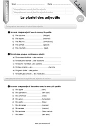 Le pluriel des adjectifs qualificatifs - Examen Evaluation - Bilan : Primaire 5 - PDF à imprimer