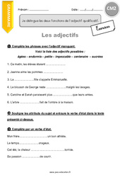 Comment distinguer les deux fonctions de l’adjectif qualificatif - Exercices avec correction : Primaire 5 - PDF à imprimer